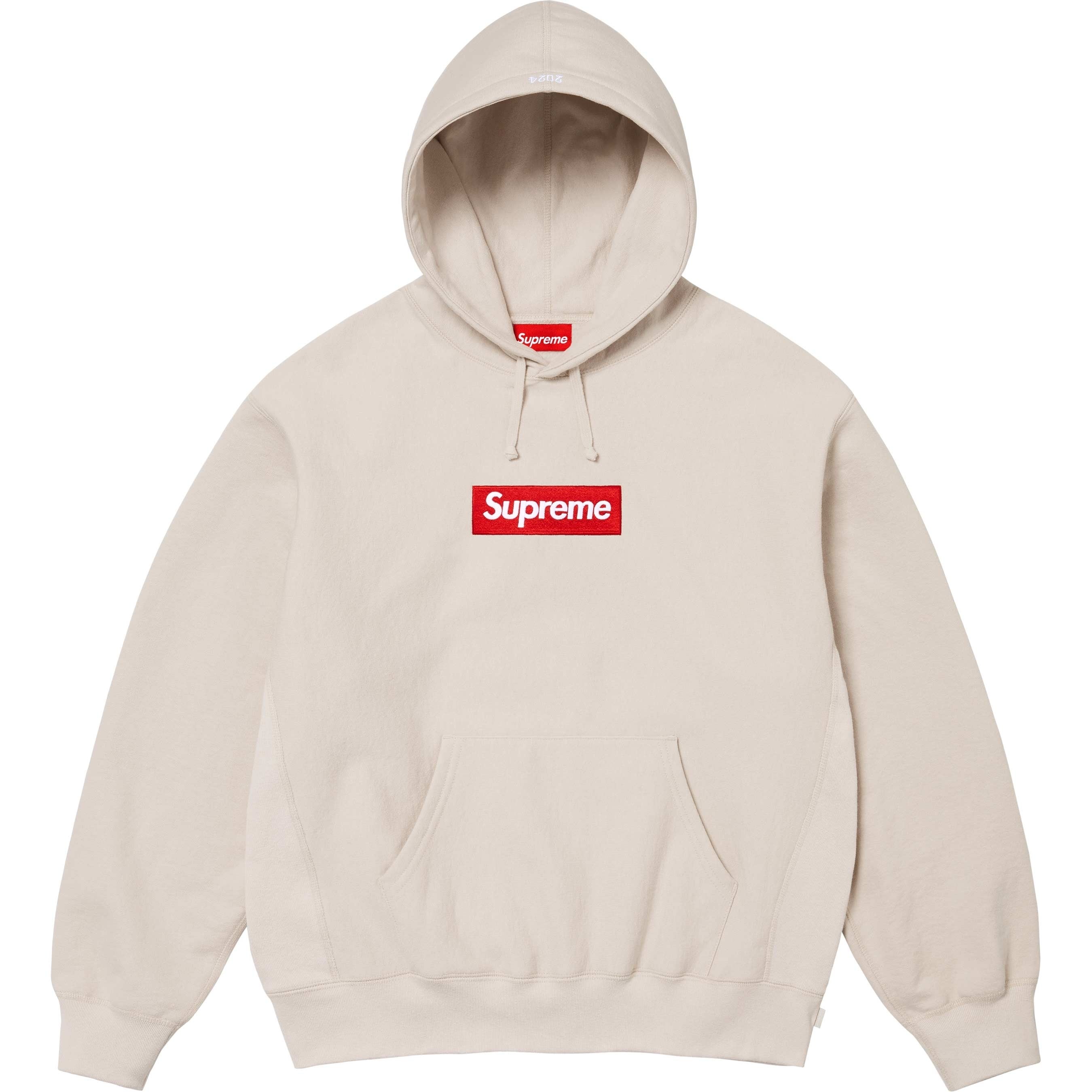 Box Logo Hooded Sweatshirt view 18